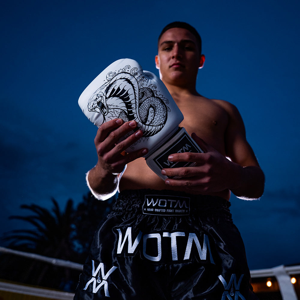 WOTM COBRA BOXING GLOVES